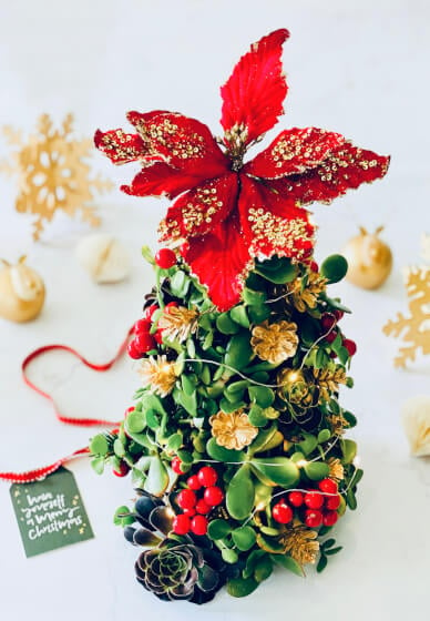 Christmas in July Succulent Tree Workshop with Bubbles