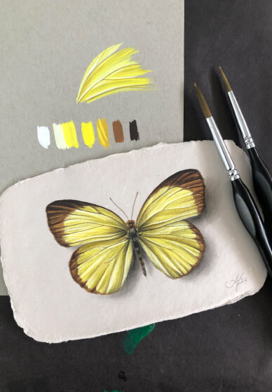 Gouache Painting Class: Butterfly