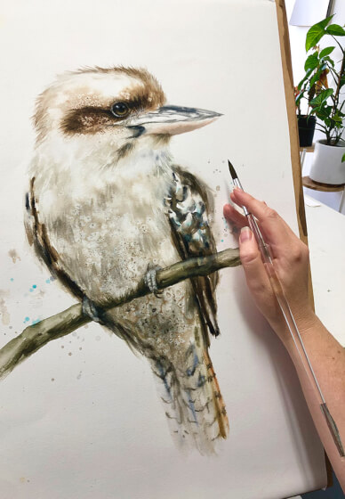 Watercolour Class: Paint a Kookaburra