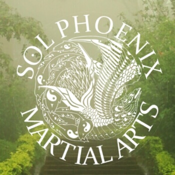 Sol Phoenix Martial Arts, sports and games teacher